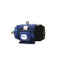 Crompton Greaves Squirrel Cage 3 Phase AC Induction Motor Foot Mounted, Power 5.
