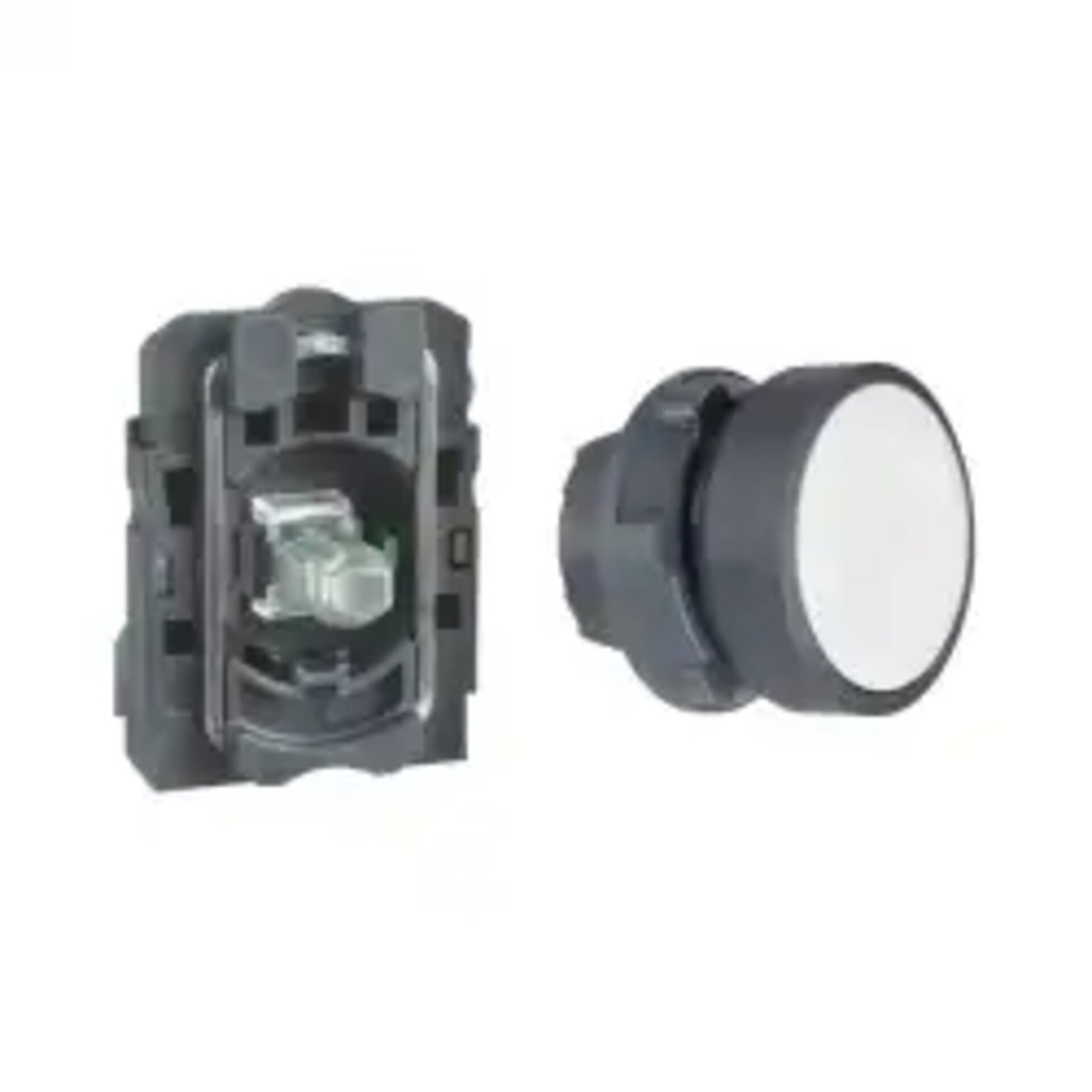 XB5AW31M1N, SCHNEIDER ELECTRIC